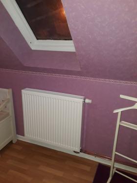 Viessmann - Vitodens 100-W